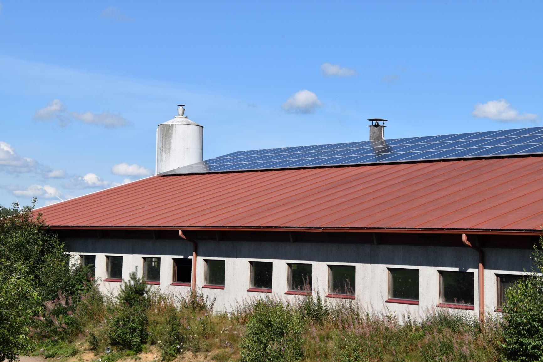 Aurinkopaneeleita navetan katolla. Kuva: Roosa Heikura